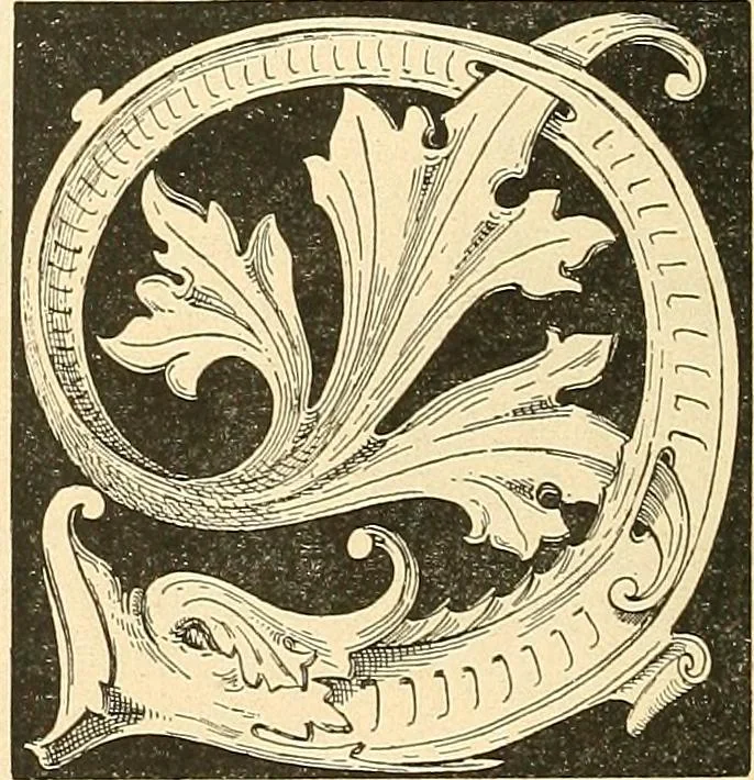An illustration from Étude des ornements : première partie : dauphins-écailles-bucrânes-grecques-guirlandes-flots grecs, 1896, leaf 41