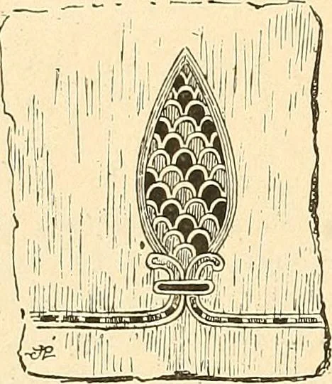 An illustration from Étude des ornements : première partie : dauphins-écailles-bucrânes-grecques-guirlandes-flots grecs, 1896, leaf 61