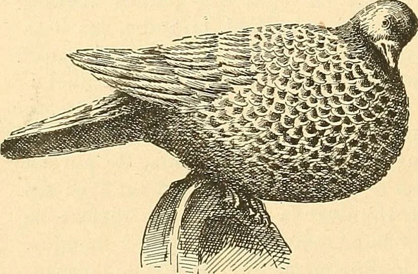 An illustration from Étude des ornements : première partie : dauphins-écailles-bucrânes-grecques-guirlandes-flots grecs, 1896, leaf 61