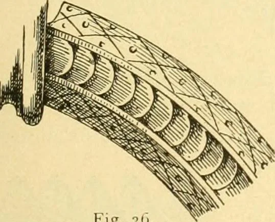 An illustration from Étude des ornements : première partie : dauphins-écailles-bucrânes-grecques-guirlandes-flots grecs, 1896, leaf 68