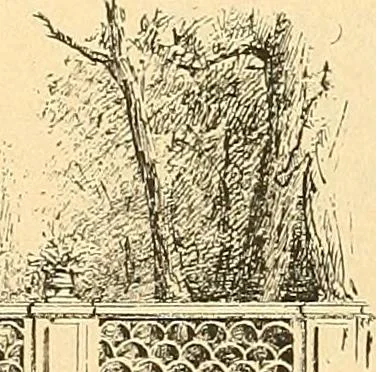 An illustration from Étude des ornements : première partie : dauphins-écailles-bucrânes-grecques-guirlandes-flots grecs, 1896, leaf 79