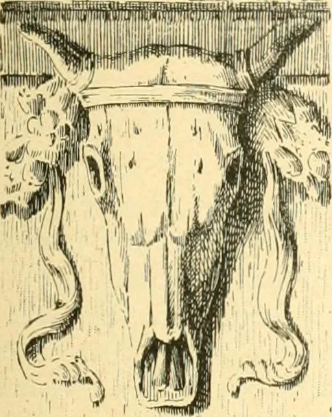 An illustration from Étude des ornements : première partie : dauphins-écailles-bucrânes-grecques-guirlandes-flots grecs, 1896, leaf 88