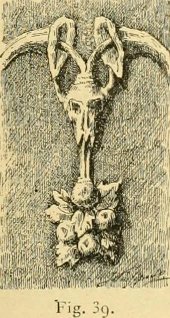 An illustration from Étude des ornements : première partie : dauphins-écailles-bucrânes-grecques-guirlandes-flots grecs, 1896, leaf 98