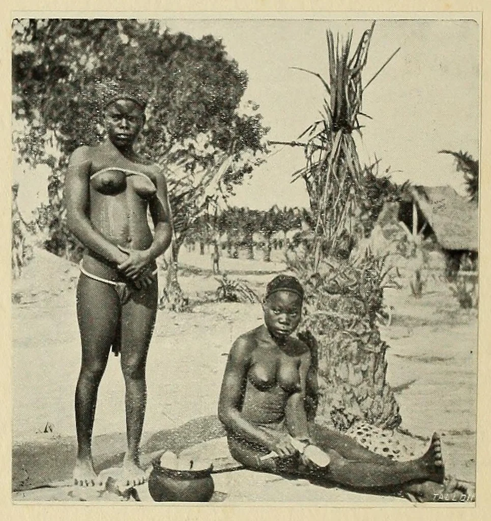 An illustration from Études Bakango : notes de sociologie coloniale, 1912, leaf 110