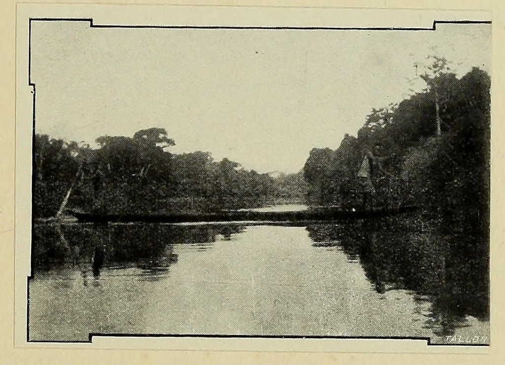 An illustration from Études Bakango : notes de sociologie coloniale, 1912, leaf 65