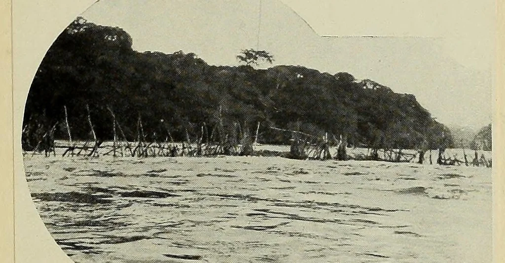 An illustration from Études Bakango : notes de sociologie coloniale, 1912, leaf 77