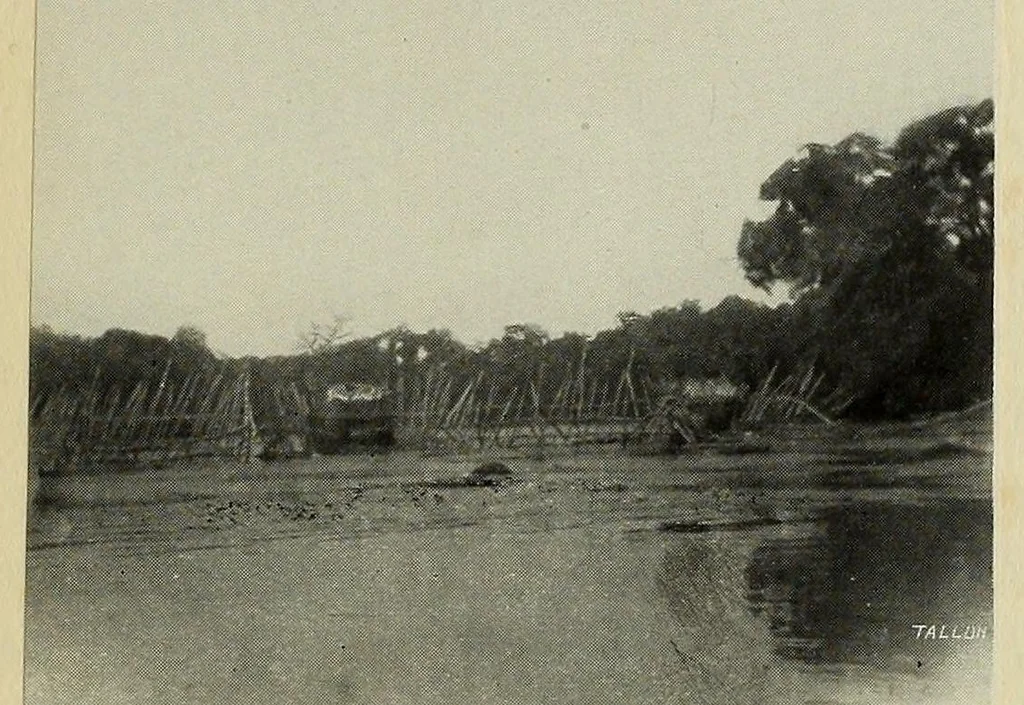 An illustration from Études Bakango : notes de sociologie coloniale, 1912, leaf 79