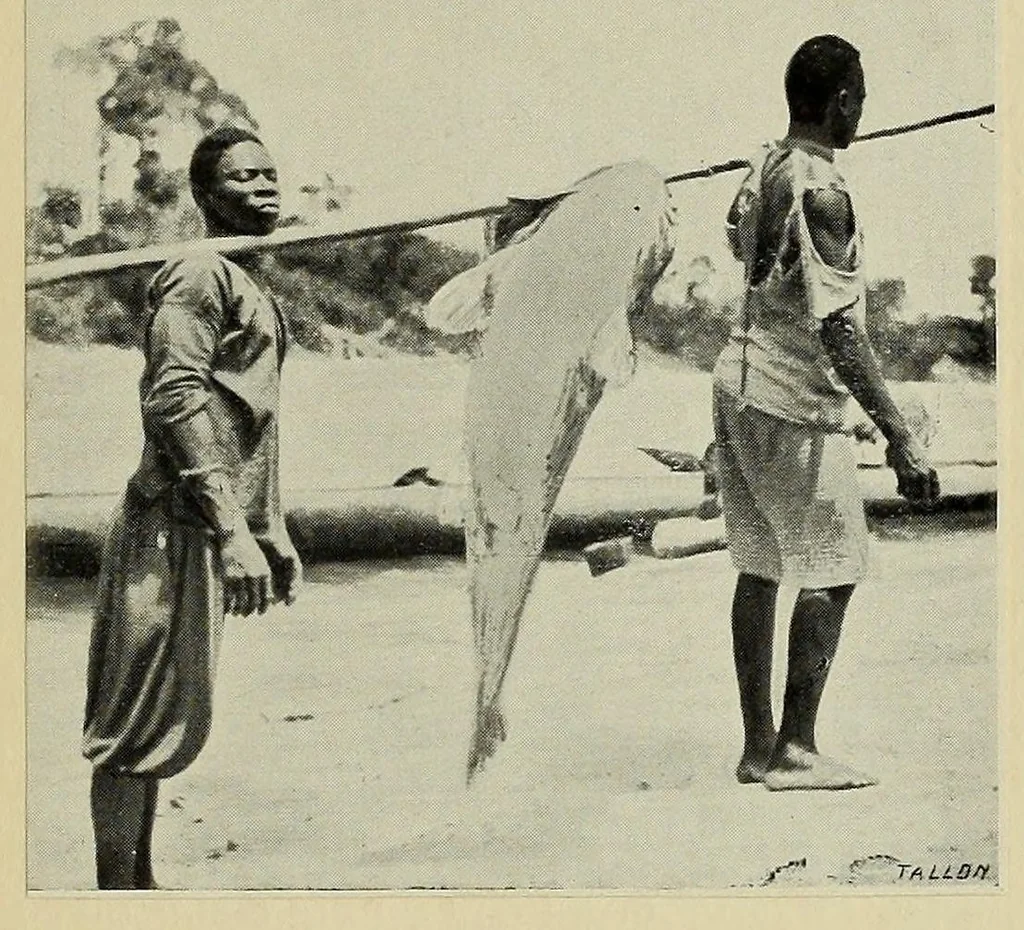 An illustration from Études Bakango : notes de sociologie coloniale, 1912, leaf 81