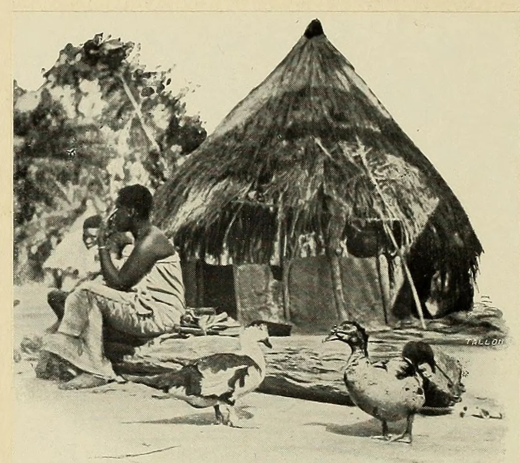 An illustration from Études Bakango : notes de sociologie coloniale, 1912, leaf 92