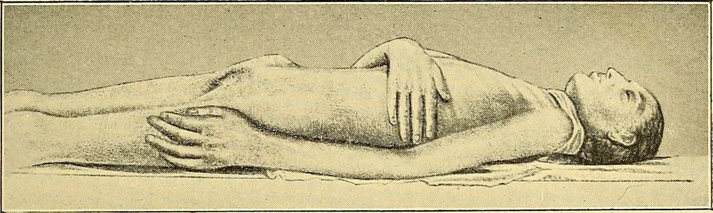 An illustration from Études biologiques sur les géants, 1904, leaf 136