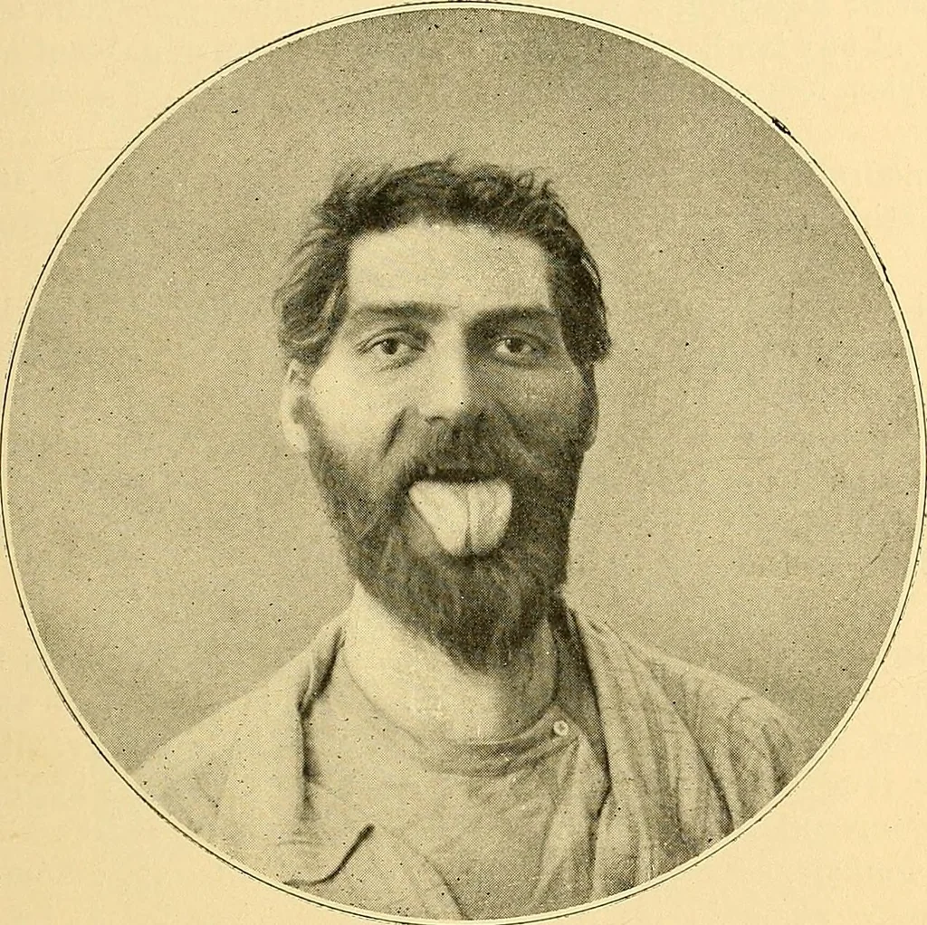 An illustration from Études biologiques sur les géants, 1904, leaf 186