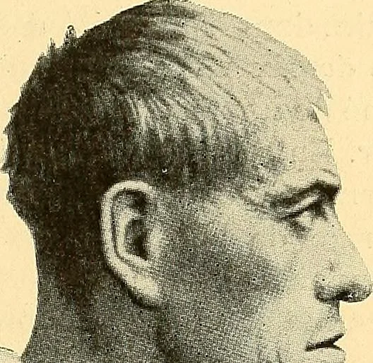 An illustration from Études biologiques sur les géants, 1904, leaf 240