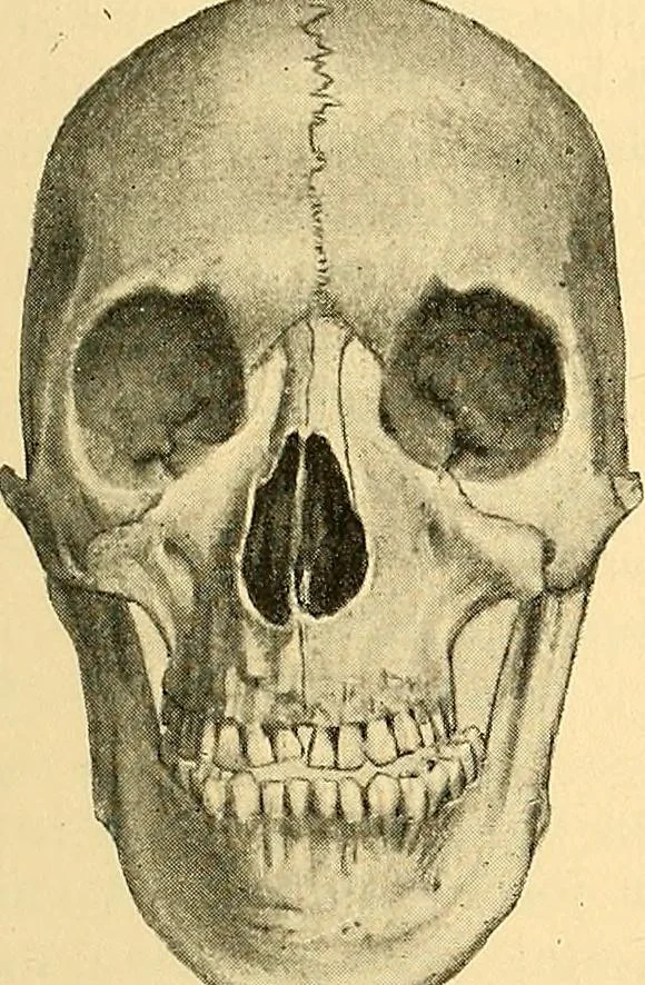 An illustration from Études biologiques sur les géants, 1904, leaf 266