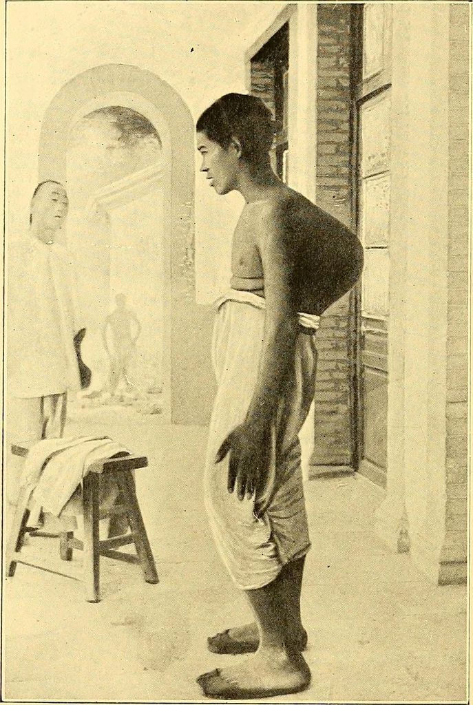 An illustration from Études biologiques sur les géants, 1904, leaf 299