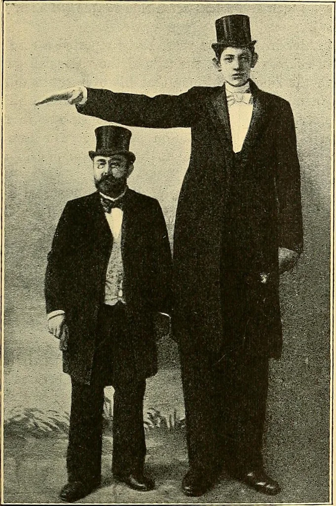 An illustration from Études biologiques sur les géants, 1904, leaf 340