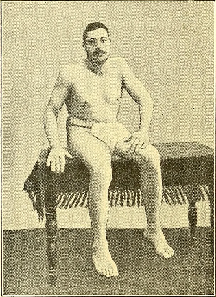 An illustration from Études biologiques sur les géants, 1904, leaf 385