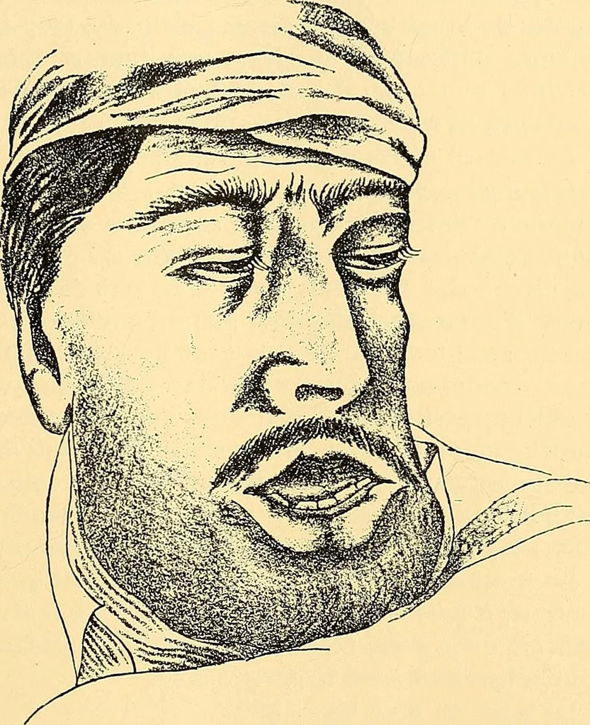 An illustration from Études biologiques sur les géants, 1904, leaf 404