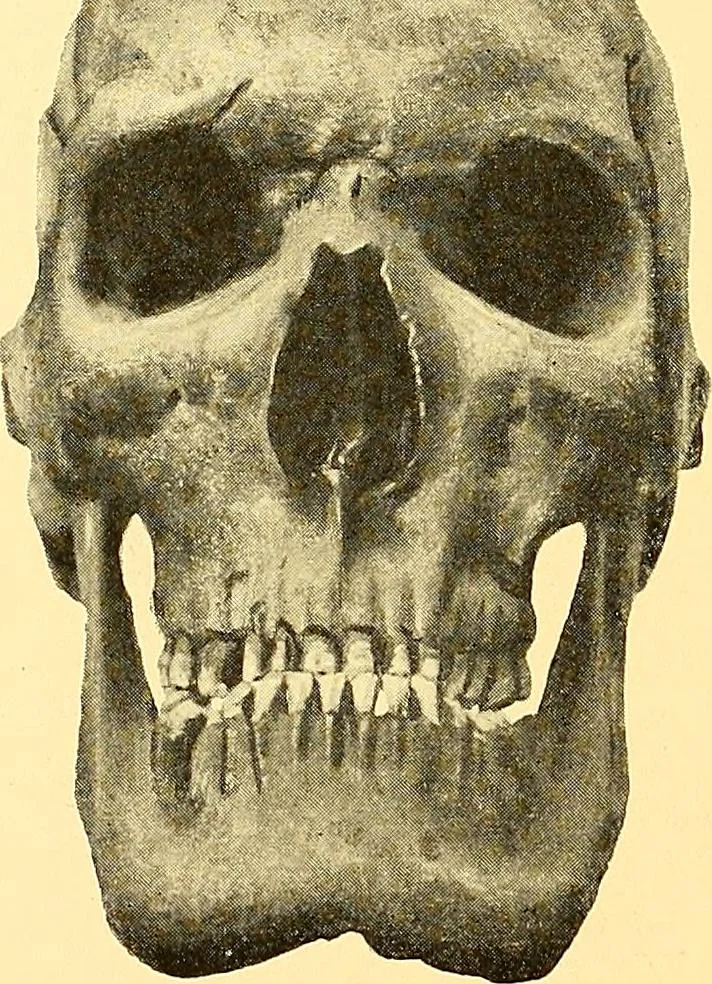 An illustration from Études biologiques sur les géants, 1904, leaf 463