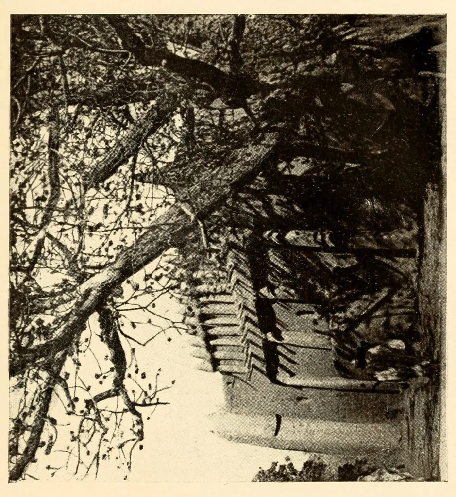 An illustration from Études sur l'Islam et les tribus du Soudan .., 1920, leaf 199