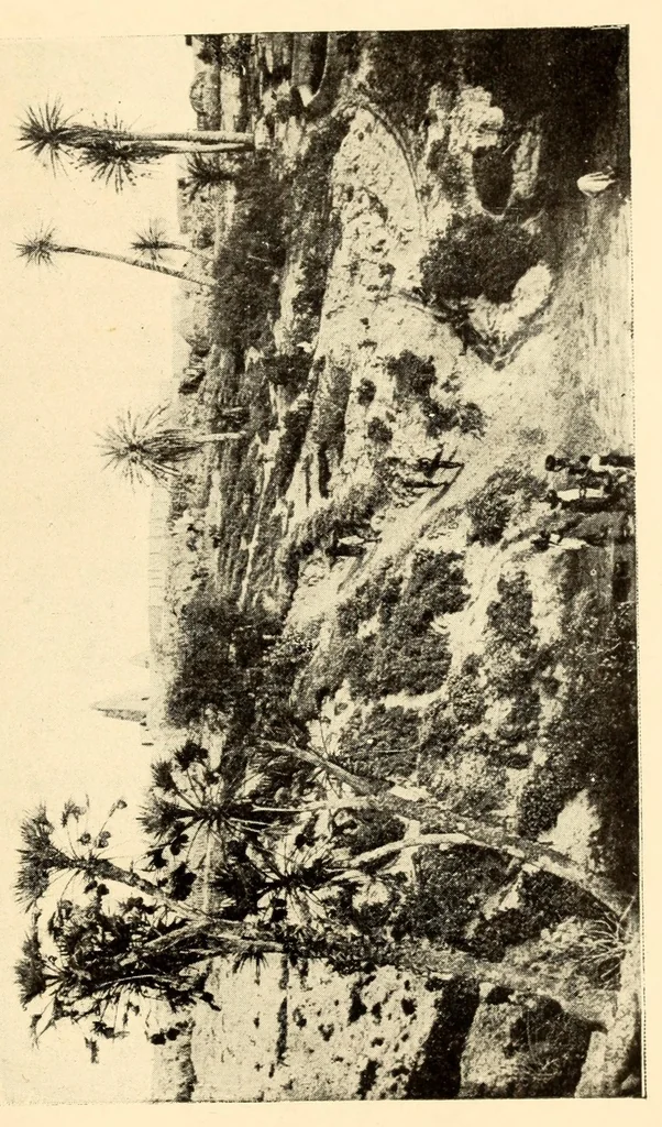 An illustration from Études sur l'Islam et les tribus du Soudan .., 1920, leaf 41