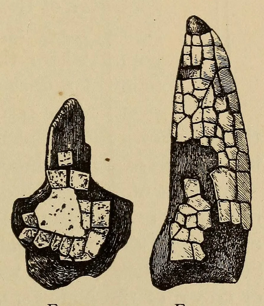 An illustration from Turquois mosaic art in ancient Mexico, 1922, leaf 117
