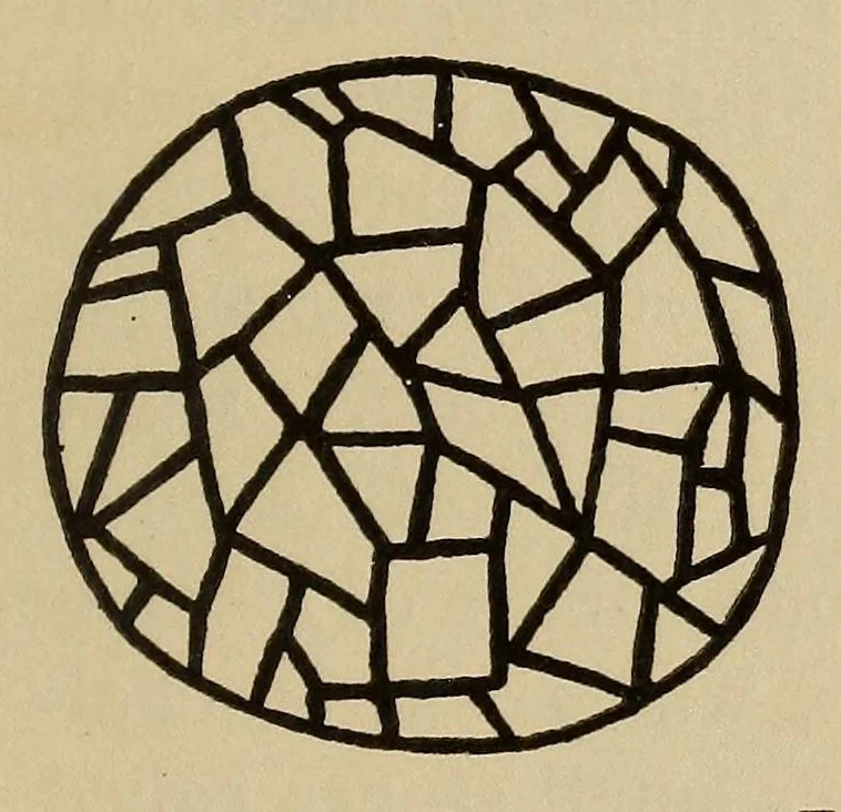 An illustration from Turquois mosaic art in ancient Mexico, 1922, leaf 53
