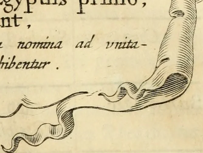 An illustration from Turris Babel, sive Archontologia qua Primo Priscorum post diluvium hominum vita, mores rerumque gestarum magnitudo, Secundo Turris fabrica civitatumque extructio, consusio linguarum, inde gentium transmigrationis..., 1679, leaf 197