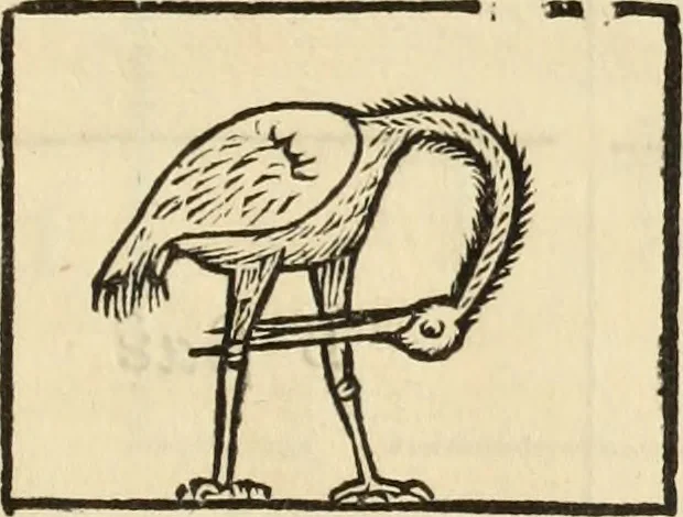 An illustration from Turris Babel, sive Archontologia qua Primo Priscorum post diluvium hominum vita, mores rerumque gestarum magnitudo, Secundo Turris fabrica civitatumque extructio, consusio linguarum, inde gentium transmigrationis..., 1679, leaf 230
