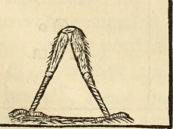 An illustration from Turris Babel, sive Archontologia qua Primo Priscorum post diluvium hominum vita, mores rerumque gestarum magnitudo, Secundo Turris fabrica civitatumque extructio, consusio linguarum, inde gentium transmigrationis..., 1679, leaf 230