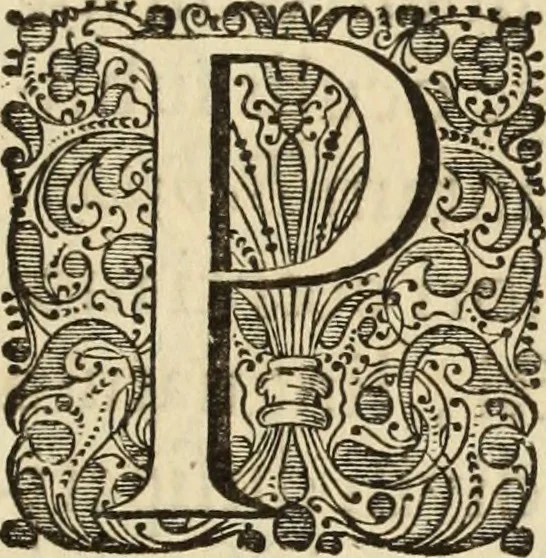 An illustration from Turris Babel, sive Archontologia qua Primo Priscorum post diluvium hominum vita, mores rerumque gestarum magnitudo, Secundo Turris fabrica civitatumque extructio, consusio linguarum, inde gentium transmigrationis..., 1679, leaf 8