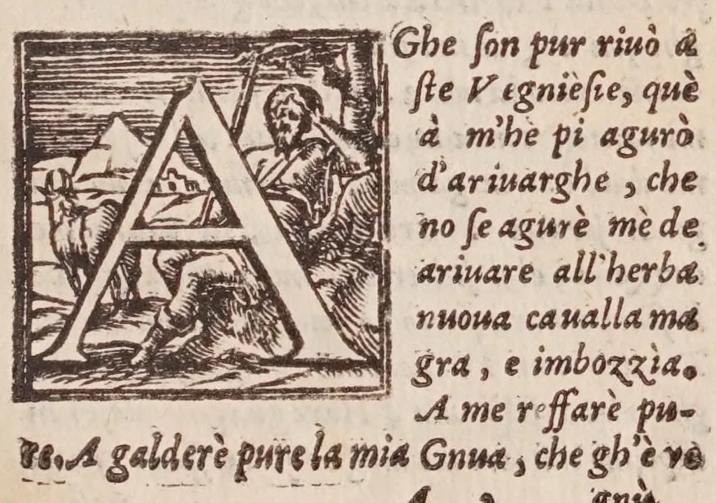 An illustration from [Tutte le opere del famosissimo Ruzante : di nuovo con somma diligenza rivedute, et corrette : et aggiuntovi un sonnetto et una canzone dell'istesso autore .., 1584, leaf 163