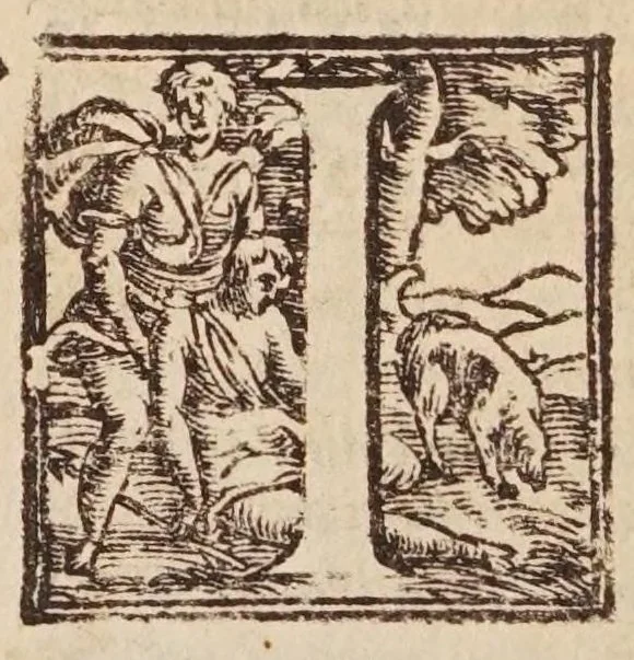 An illustration from [Tutte le opere del famosissimo Ruzante : di nuovo con somma diligenza rivedute, et corrette : et aggiuntovi un sonnetto et una canzone dell'istesso autore .., 1584, leaf 294