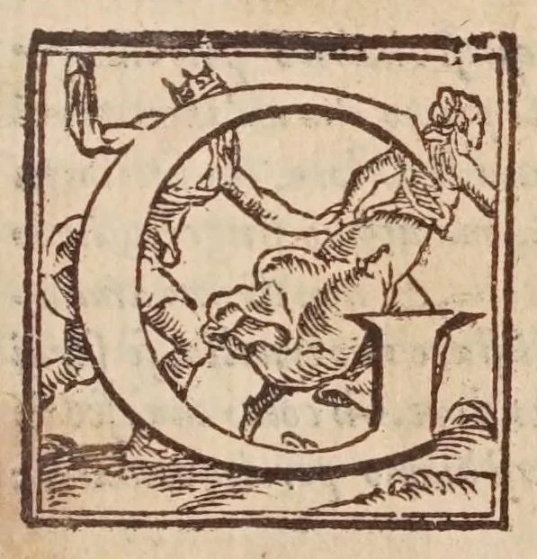An illustration from [Tutte le opere del famosissimo Ruzante : di nuovo con somma diligenza rivedute, et corrette : et aggiuntovi un sonnetto et una canzone dell'istesso autore .., 1584, leaf 323