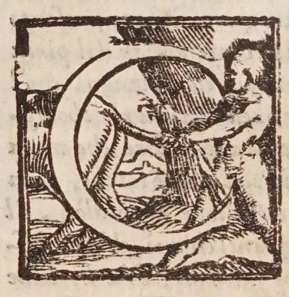 An illustration from [Tutte le opere del famosissimo Ruzante : di nuovo con somma diligenza rivedute, et corrette : et aggiuntovi un sonnetto et una canzone dell'istesso autore .., 1584, leaf 542