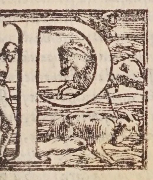 An illustration from [Tutte le opere del famosissimo Ruzante : di nuovo con somma diligenza rivedute, et corrette : et aggiuntovi un sonnetto et una canzone dell'istesso autore .., 1584, leaf 617