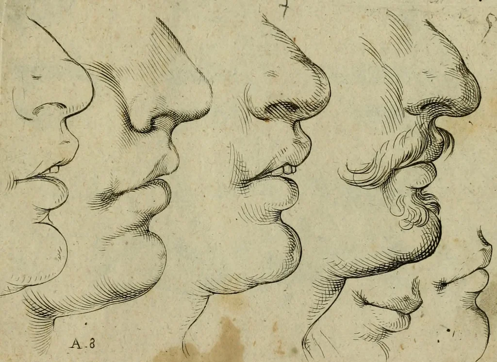 An illustration from Tutte le parti del corpo hvmano diuiso in piu pezzi, 1608, leaf 16