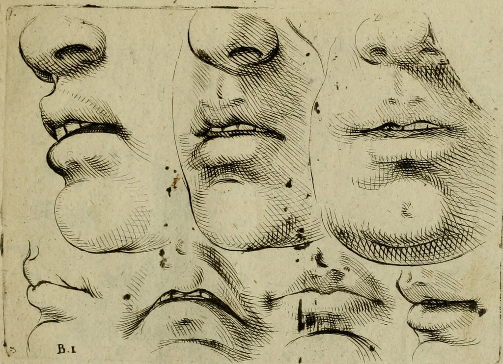 An illustration from Tutte le parti del corpo hvmano diuiso in piu pezzi, 1608, leaf 18