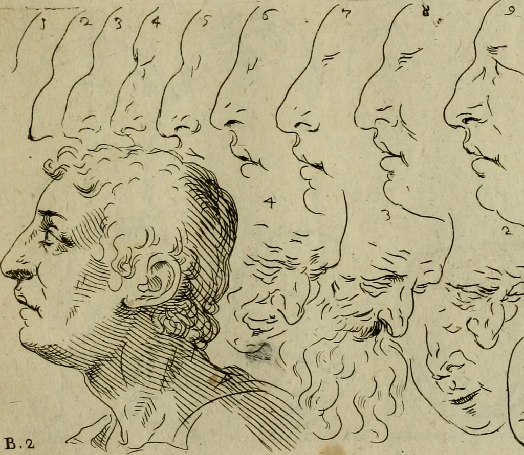 An illustration from Tutte le parti del corpo hvmano diuiso in piu pezzi, 1608, leaf 20