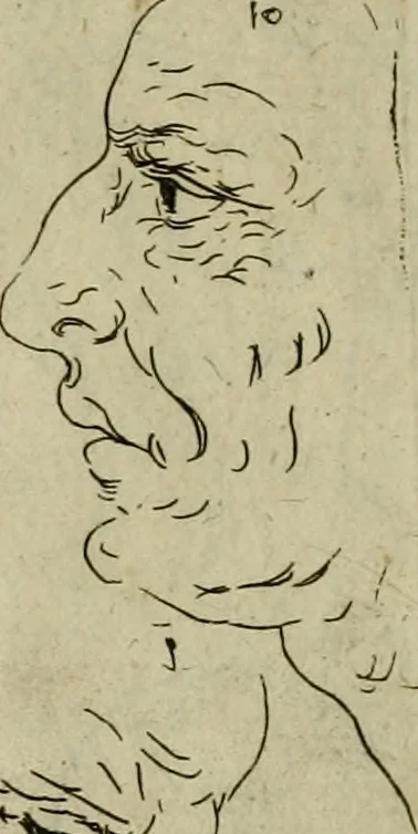 An illustration from Tutte le parti del corpo hvmano diuiso in piu pezzi, 1608, leaf 20
