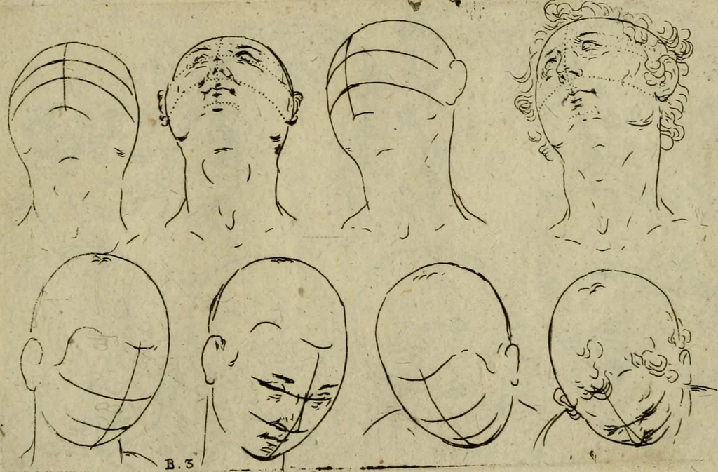 An illustration from Tutte le parti del corpo hvmano diuiso in piu pezzi, 1608, leaf 22