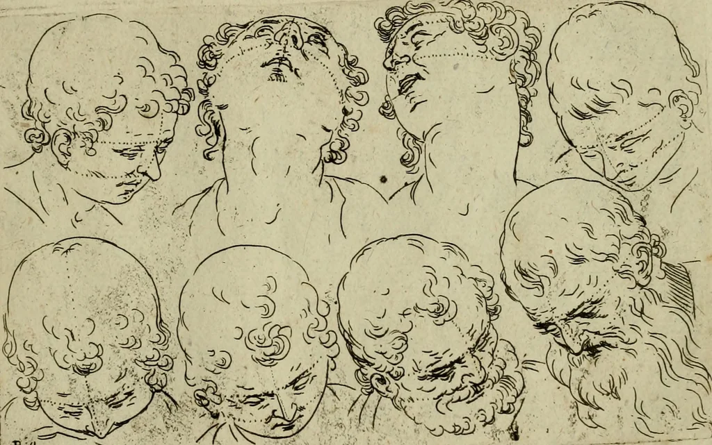 An illustration from Tutte le parti del corpo hvmano diuiso in piu pezzi, 1608, leaf 24