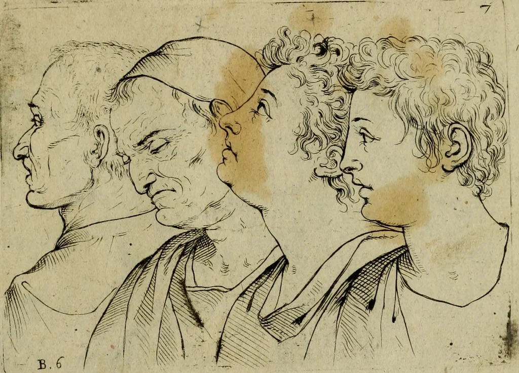 An illustration from Tutte le parti del corpo hvmano diuiso in piu pezzi, 1608, leaf 28