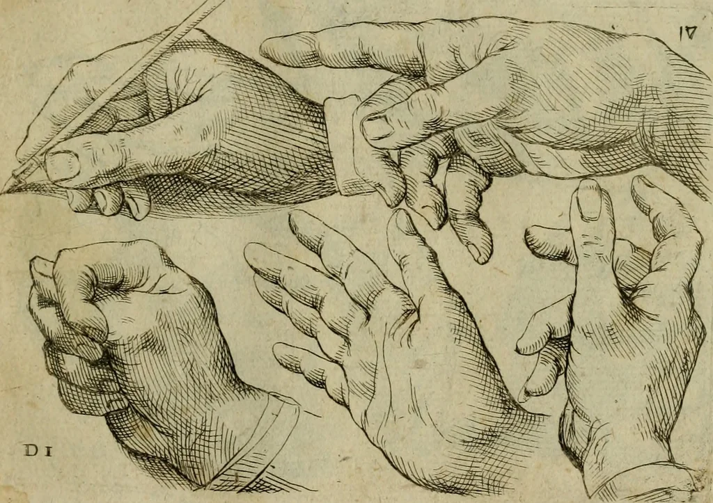 An illustration from Tutte le parti del corpo hvmano diuiso in piu pezzi, 1608, leaf 34