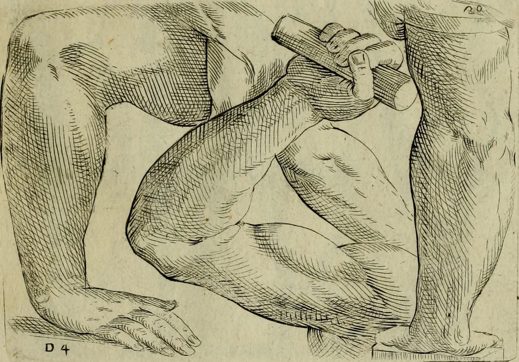 An illustration from Tutte le parti del corpo hvmano diuiso in piu pezzi, 1608, leaf 40