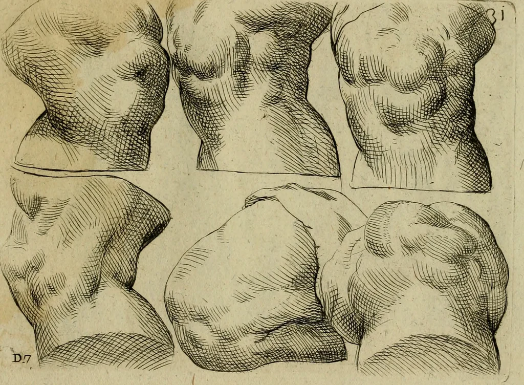 An illustration from Tutte le parti del corpo hvmano diuiso in piu pezzi, 1608, leaf 46
