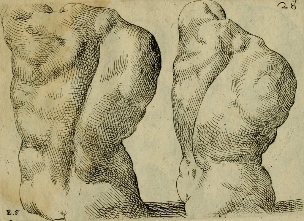An illustration from Tutte le parti del corpo hvmano diuiso in piu pezzi, 1608, leaf 58
