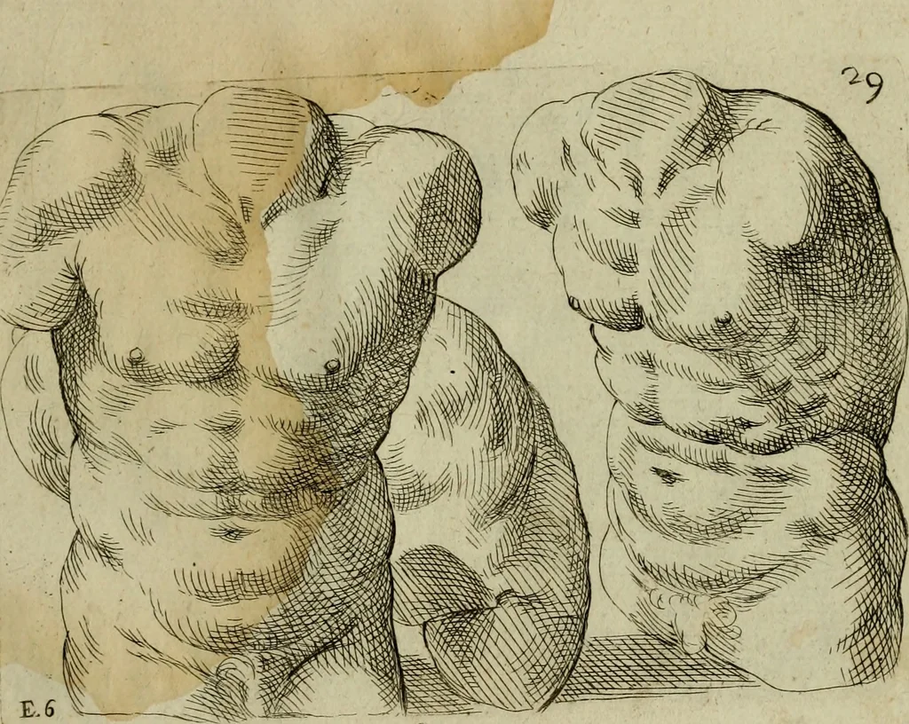 An illustration from Tutte le parti del corpo hvmano diuiso in piu pezzi, 1608, leaf 60