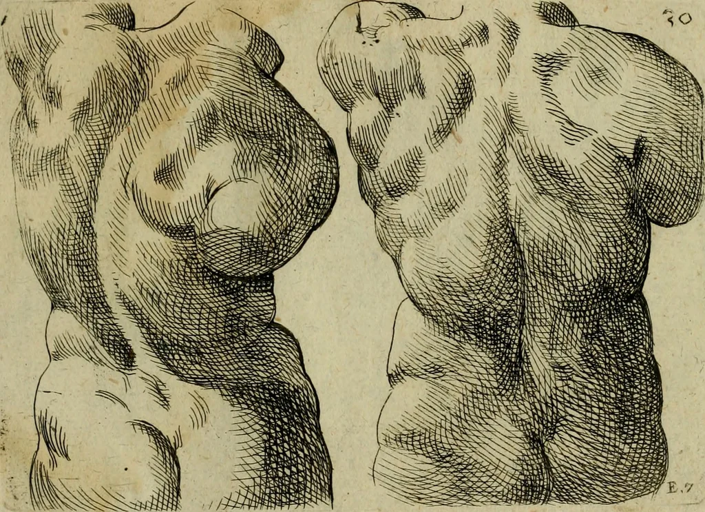 An illustration from Tutte le parti del corpo hvmano diuiso in piu pezzi, 1608, leaf 62