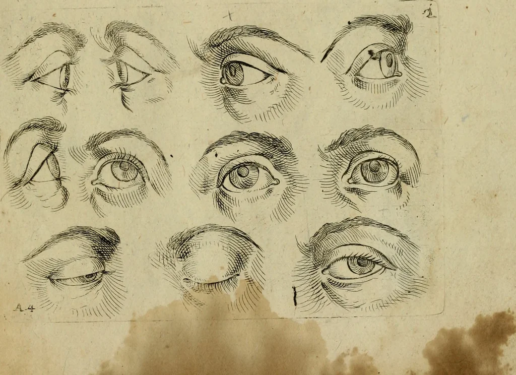 An illustration from Tutte le parti del corpo hvmano diuiso in piu pezzi, 1608, leaf 8