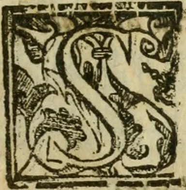 An illustration from Tutte l'opere d'archittetura, et prospetiua, 1619, leaf 10
